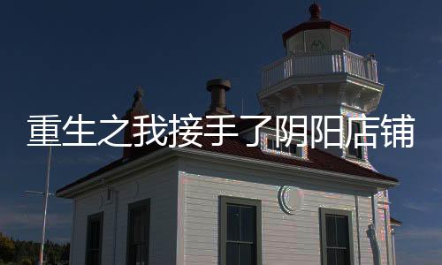 重生之我接手了陰陽(yáng)店鋪