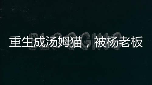 重生成湯姆貓，被楊老板直播曝光