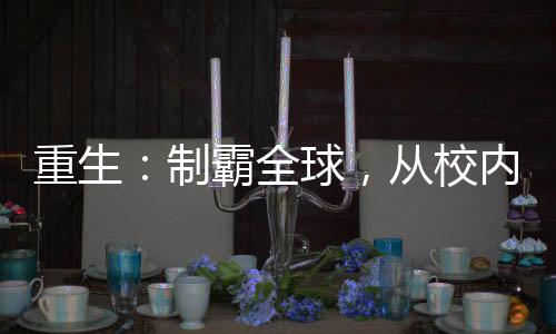 重生：制霸全球，從校內(nèi)網(wǎng)開始