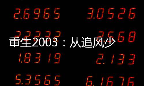 重生2003：從追風(fēng)少年到世界神豪