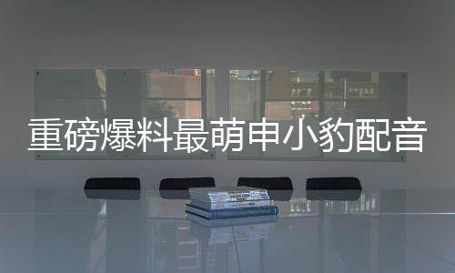 重磅爆料最萌申小豹配音演員揭曉