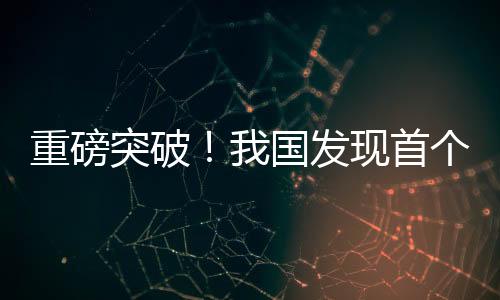 重磅突破！我國發(fā)現(xiàn)首個(gè)億噸級頁巖油田，能源產(chǎn)業(yè)迎來新篇章