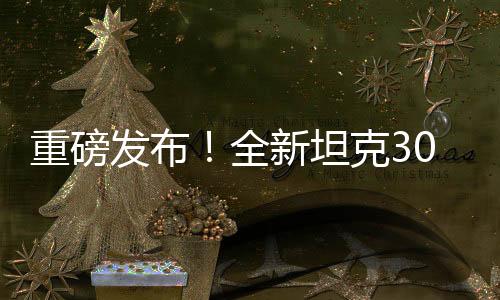 重磅發(fā)布！全新坦克300 2025款震撼上市，引領(lǐng)越野新風(fēng)尚