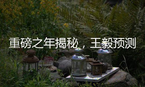 重磅之年揭秘，王毅預(yù)測引領(lǐng)2025年至潮極具歷史分量正文