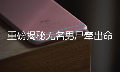 重磅揭秘?zé)o名男尸牽出命案真相，嫌犯身份揭曉