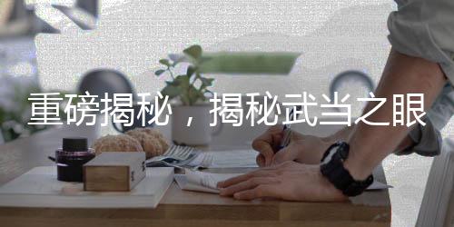 重磅揭秘，揭秘武當(dāng)之眼——揭秘武昌號(hào)驅(qū)真赴法國(guó)的真正原因及動(dòng)向解析