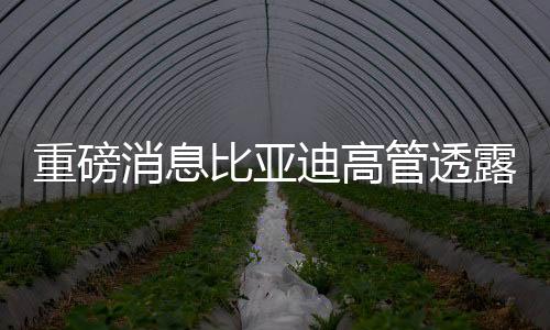 重磅消息比亞迪高管透露，靈鳶換電版屬于仰望系列，引領(lǐng)新能源汽車革新之路