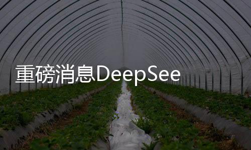 重磅消息DeepSeek-R2即將于下周發(fā)布，引領(lǐng)科技新潮流