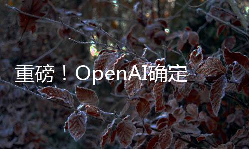 重磅！OpenAI確定GPT