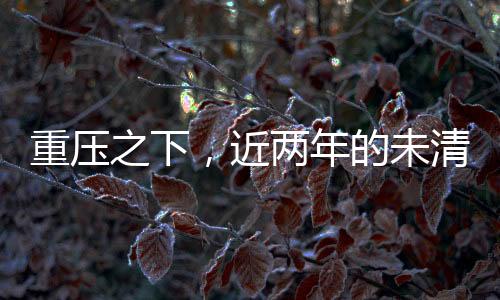 重壓之下，近兩年的未清借款，涉事人須依法履行義務(wù)
