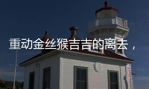 重動金絲猴吉吉的離去，哀悼與反思