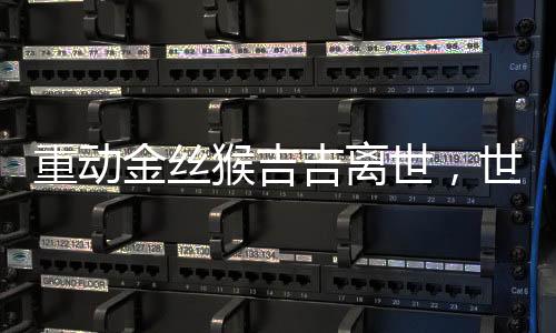 重動金絲猴吉吉離世，世界瀕危物種的保護(hù)再敲警鐘