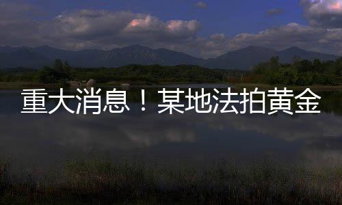 重大消息！某地法拍黃金超過三百四十斤，背后竟隱藏這樣的故事……