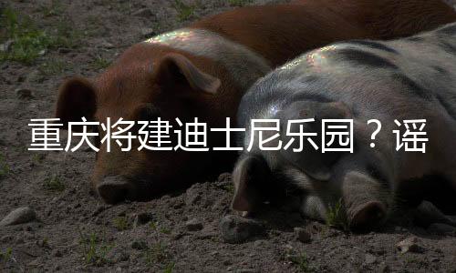 重慶將建迪士尼樂(lè)園？謠言解析
