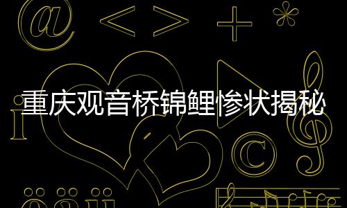 重慶觀音橋錦鯉慘狀揭秘，一夜間大量死亡的謎團(tuán)