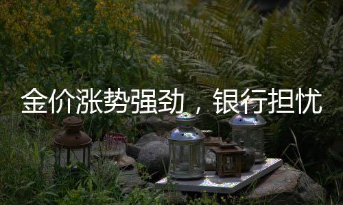 金價(jià)漲勢(shì)強(qiáng)勁，銀行擔(dān)憂影響分析