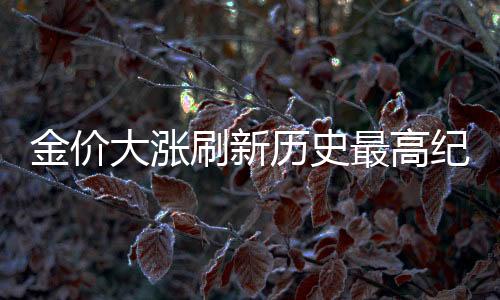 金價(jià)大漲刷新歷史最高紀(jì)錄，解析金價(jià)狂飆背后的原因及影響