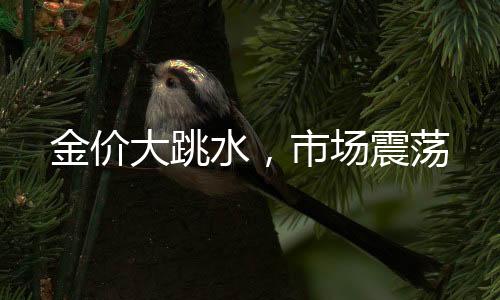 金價(jià)大跳水，市場(chǎng)震蕩