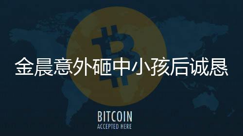 金晨意外砸中小孩后誠懇道歉，展現(xiàn)責任心與公眾形象