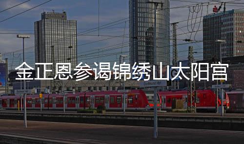 金正恩參謁錦繡山太陽(yáng)宮，展現(xiàn)領(lǐng)袖風(fēng)范與堅(jiān)定意志