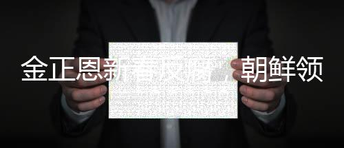 金正恩新春反腐，朝鮮領(lǐng)導(dǎo)層重塑清廉形象的新篇章