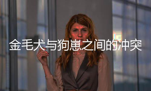 金毛犬與狗崽之間的沖突引發(fā)關(guān)注，大狗霸氣護娃報復(fù)行為揭秘