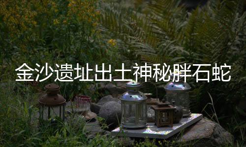 金沙遺址出土神秘胖石蛇引發(fā)熱烈圍觀