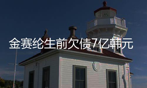 金賽綸生前欠債7億韓元，遺產(chǎn)與債務(wù)之謎揭秘