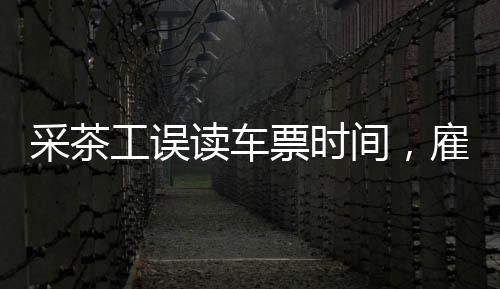 采茶工誤讀車票時間，雇主迅速應(yīng)對成功改簽——一次意外的旅行插曲