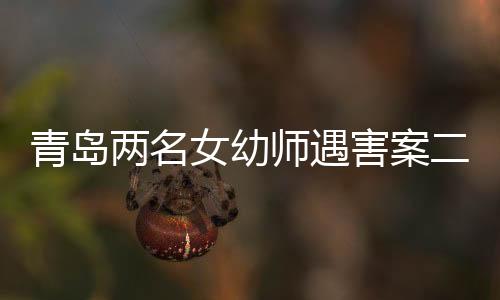 青島兩名女幼師遇害案二審解讀，回顧事件、進(jìn)展、影響與未來(lái)展望