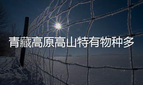 青藏高原高山特有物種多樣性如何形成？中外科學(xué)家合作研究揭秘