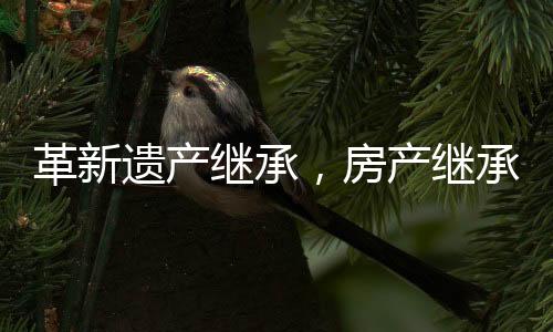革新遺產(chǎn)繼承，房產(chǎn)繼承將需鄰居簽字引發(fā)廣泛關(guān)注