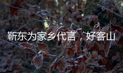 靳東為家鄉(xiāng)代言，好客山東歡迎您