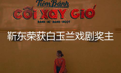 靳東榮獲白玉蘭戲劇獎主角獎，一展演技之巔