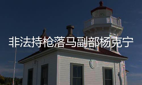 非法持槍落馬副部楊克寧獲刑十六年紀(jì)實(shí)