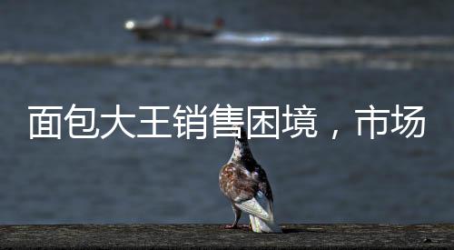 面包大王銷售困境，市場競爭下的挑戰(zhàn)與機(jī)遇
