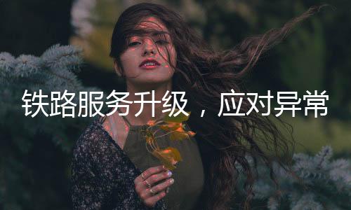 鐵路服務(wù)升級，應(yīng)對異常登錄請求，保障旅客信息安全——揭秘中國鐵路客戶服務(wù)中心的應(yīng)對舉措與成效分析