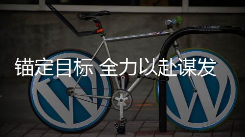 錨定目標 全力以赴謀發(fā)展