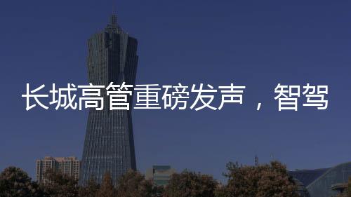 長城高管重磅發(fā)聲，智駕不只是空談，實(shí)際行動見證實(shí)力