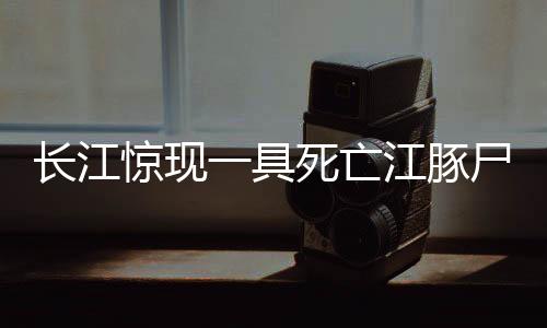 長江驚現(xiàn)一具死亡江豚尸體，引發(fā)關(guān)注與反思——生態(tài)保護的緊迫呼喚