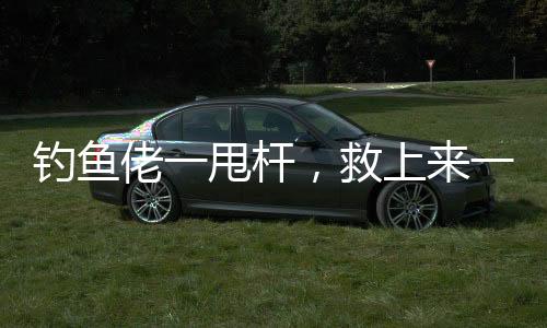 釣魚(yú)佬一甩桿，救上來(lái)一個(gè)人