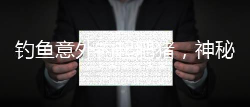 釣魚意外釣起肥豬，神秘事件引發(fā)熱議