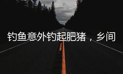 釣魚意外釣起肥豬，鄉(xiāng)間故事激起熱議