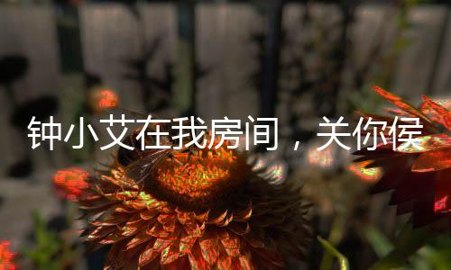 鐘小艾在我房間，關你侯亮平屁事