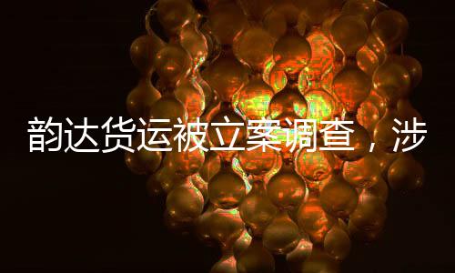 韻達(dá)貨運(yùn)被立案調(diào)查，涉事公司運(yùn)營的隱患與社會影響深度剖析