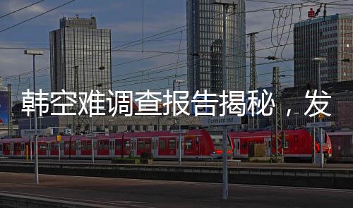 韓空難調(diào)查報告揭秘，發(fā)動機吸入花臉鴨事件