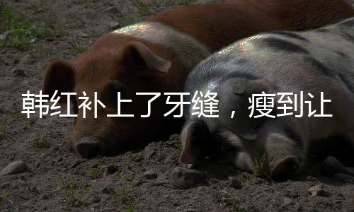 韓紅補(bǔ)上了牙縫，瘦到讓人認(rèn)不出——探索韓紅形象變化的背后故事