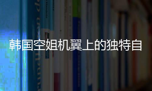 韓國空姐機(jī)翼上的獨(dú)特自拍，展現(xiàn)航空業(yè)風(fēng)采與時代潮流
