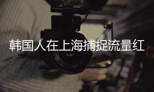 韓國(guó)人在上海捕捉流量紅利，成功變現(xiàn)引領(lǐng)新一波商機(jī)