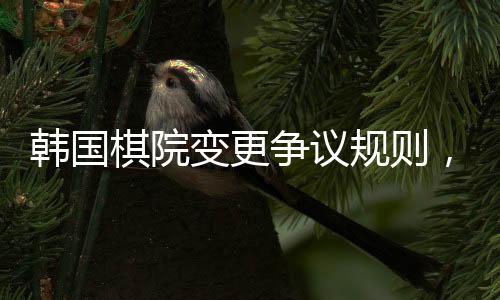 韓國棋院變更爭議規(guī)則，中國棋協(xié)作出回應(yīng)